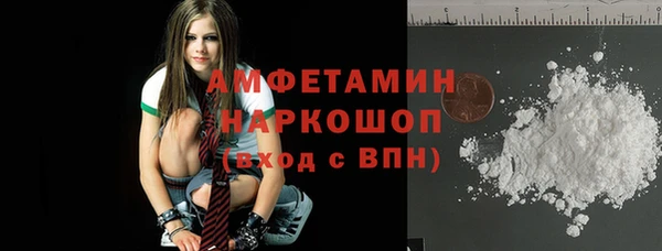 гашик Верея
