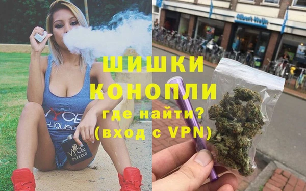 гашик Верея