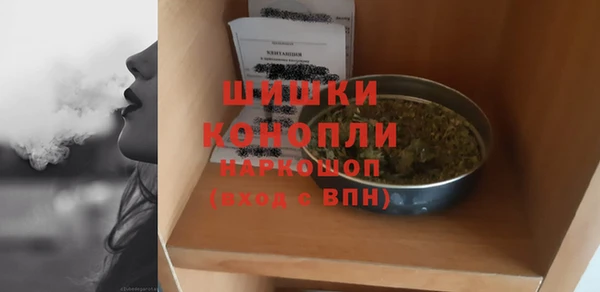 молекула духа Бронницы