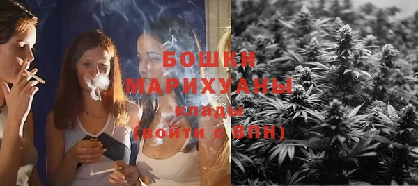 гидропоника Бугульма