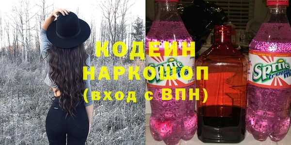 гашик Верея