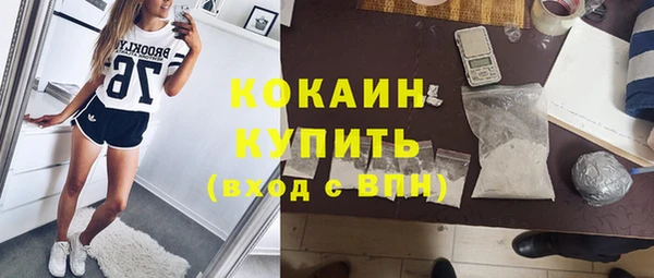 гашик Верея