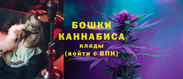 молекула духа Бронницы