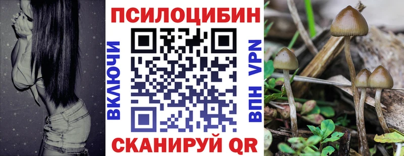 Псилоцибиновые грибы Cubensis  хочу   Ижевск 