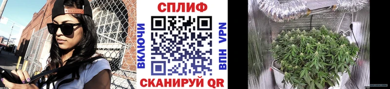 Марихуана план  Ижевск 