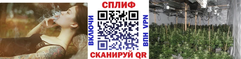 Каннабис Ganja Ижевск
